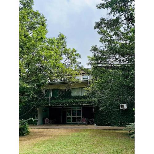 Eskimo Bungalow - Negombo