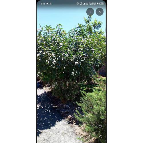 EsMash Studio Machine lanet Nakuru