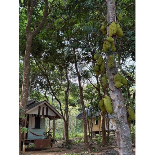 Eternal Forest Beach Bar&Bungalow