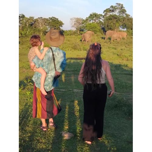 Ethili Lake view & Safari Camp