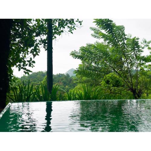 Evergreen Hideout by Tequila Holidays