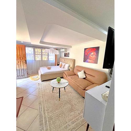 Executive Homely Studio apt