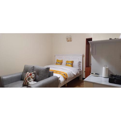 Executive Studios - Maclite Homes