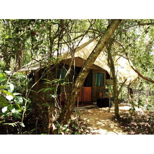 Explorer by Eco Team - Dambana