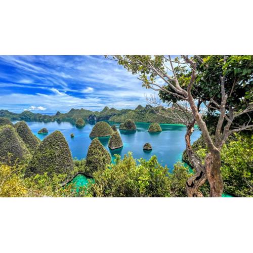 Explores raja Ampat
