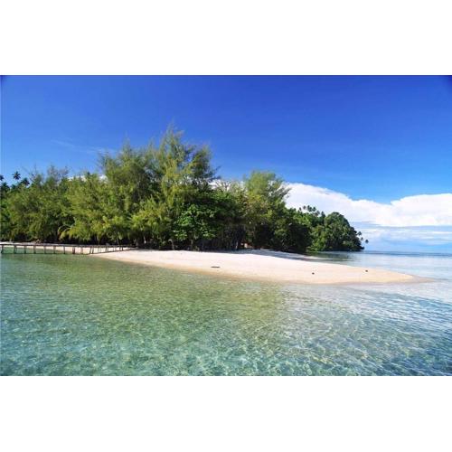 Fadhila cottage and dive resort