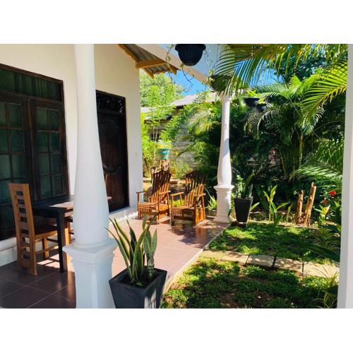 Fairview Dill homestay