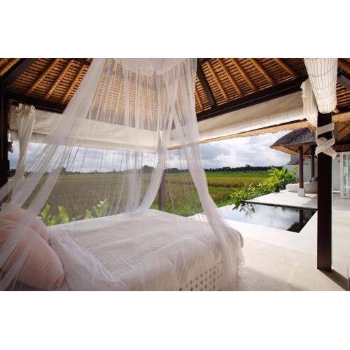 Fall in Love with Rose Moon