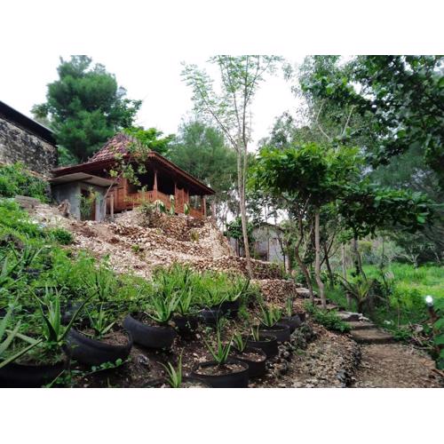 Fam Sugiono Cottage - Wooden House