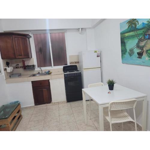 Fantastic apartment 1Rooms zona colonial