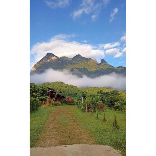 Far Far Away Homestay Chiangdao