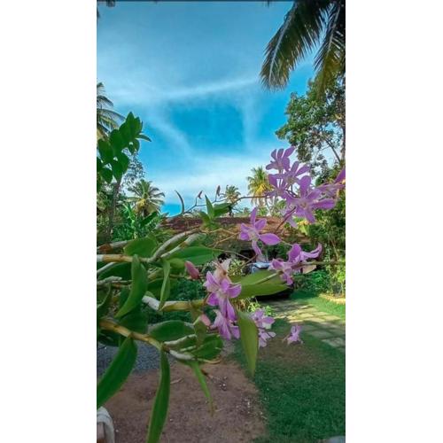 Farming Hostel Ahangama