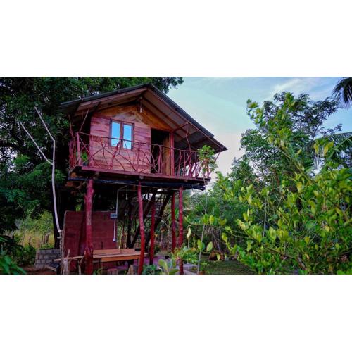 Farming Tree House