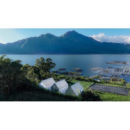 Faro Cabin Kintamani