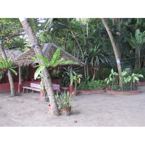 Felipa Beach and Guesthouse - Gumamela
