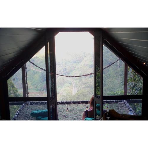 Fern Hill Cabins