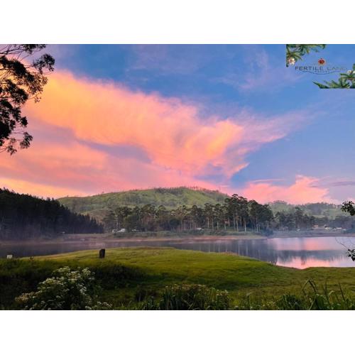 Fertile land resort adam's peak