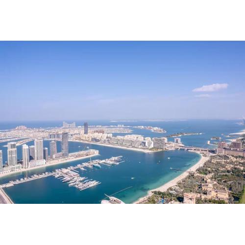 FIRST CLASS 1BR High Floor Luxury & Palm View