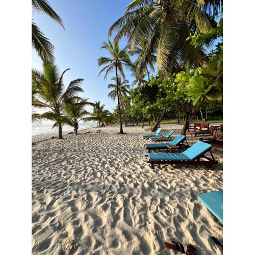 Fisherhut Beachfront Studios