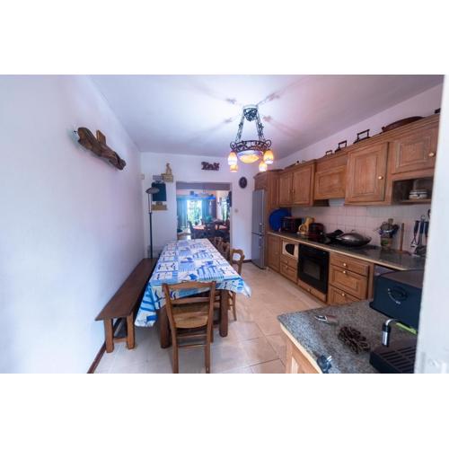 Flic en Flac beach, Mauritius, between nature and comfort