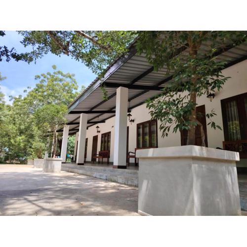 Flying Peacock Yala, Katharagama,