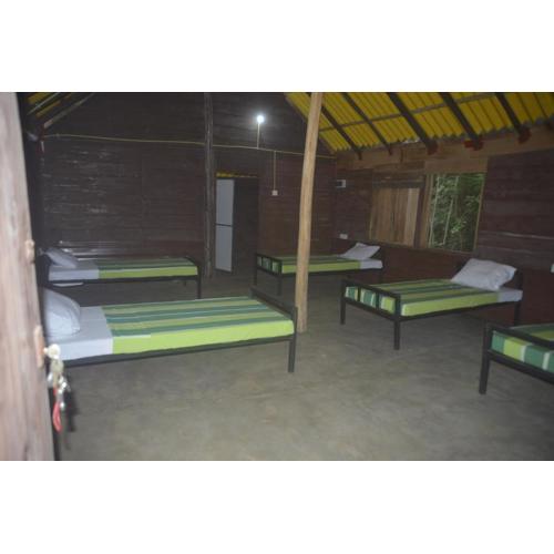 Forest Camping Fun Hostel