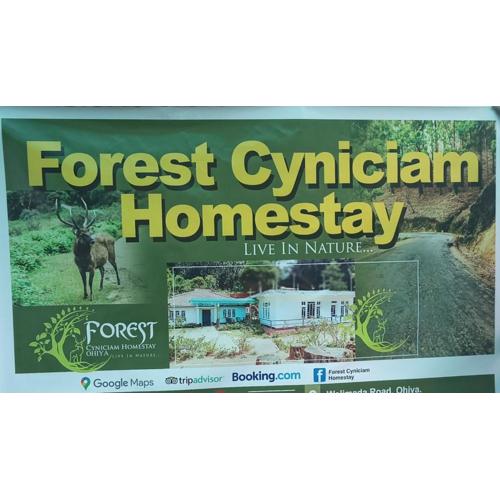Forest Cyniciam Homestay