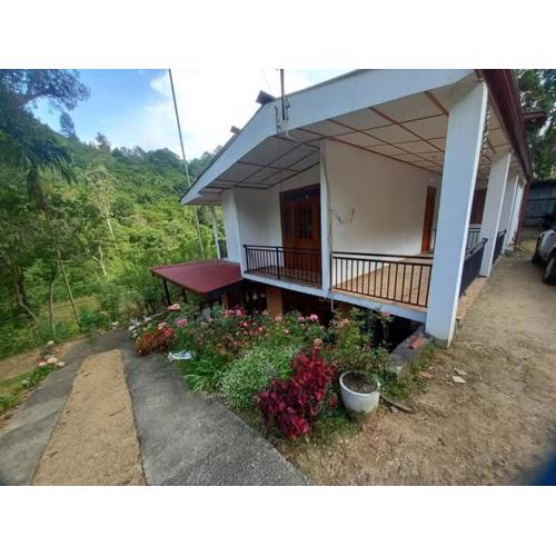 Forest Glen Nest Ella