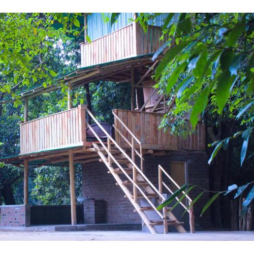 Forest Tree Top Holiday Resort