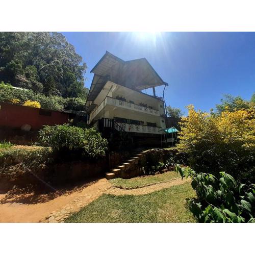 Forest View Rest Nuwaraeliya