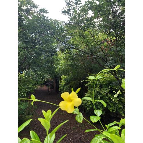 Forest Villa Nature Resort