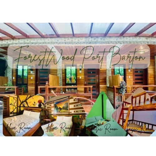 Forest wood-Port Barton