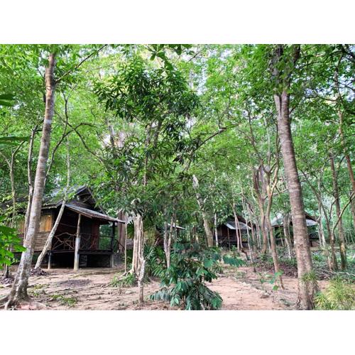 Foresta Cottage of Koh Pu no6195
