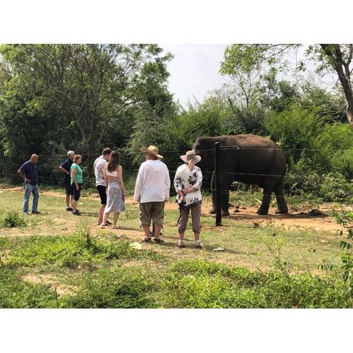 Forests for People Nidikumba Safari