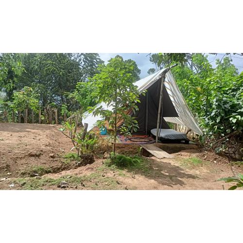 Freedom camp ella