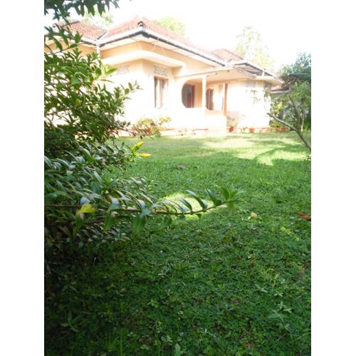 Freedom River House Free Environment Villa