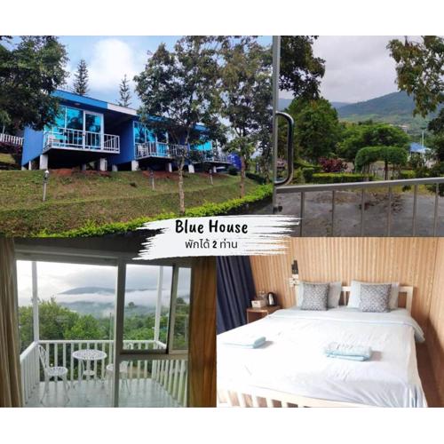 FreshBloom View เขาค้อ Blue House