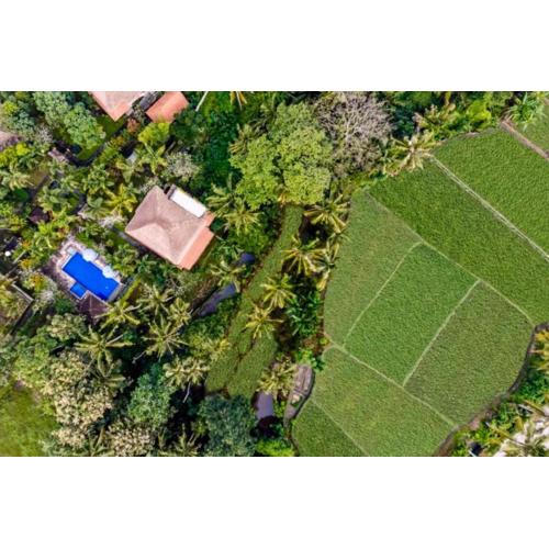 Fullara 1 BR Suite With Rice Field View ZN240