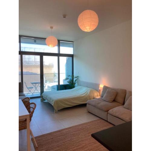 Fully furnished studio with balcony, shared infinity pool, gym and private parking