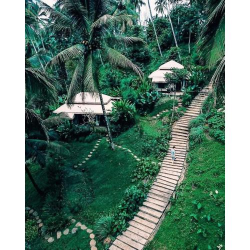 Galalima Glamping by AGATA