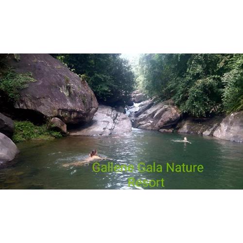 Gallene Gala Nature Resort