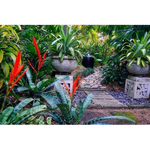 Garden of Dreams Hiriketiya