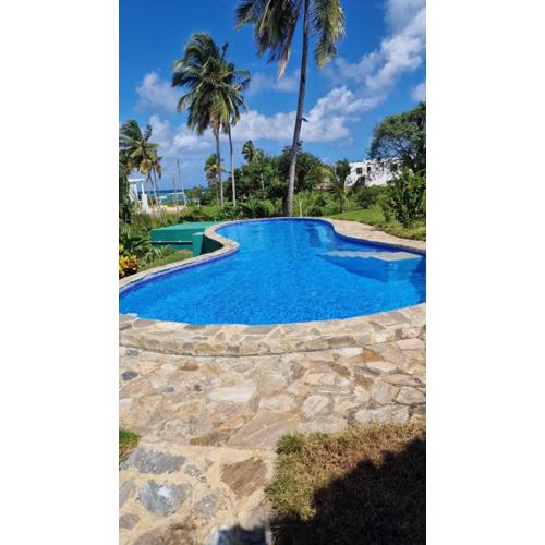 Gecko Azul, Las Galeras