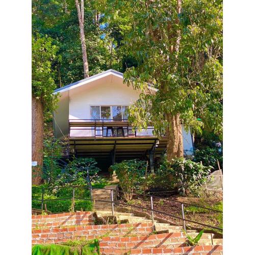 บ้านชายดอย Glamping ดอยแม่แจ๋ม cheason ,Muangpan, Lampang