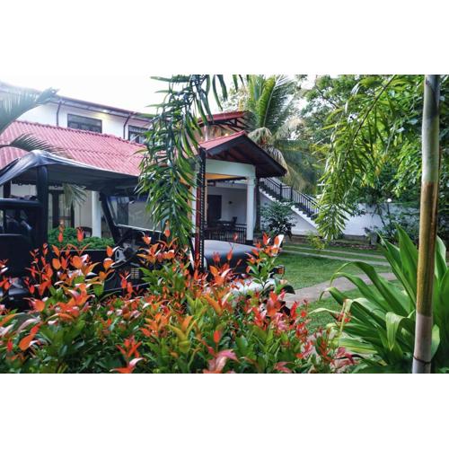 Golden Horizon Resort