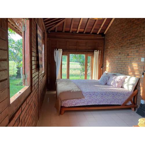 Golden Mango Farmstay