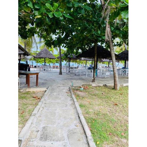 Golden Sun-Fisherhut