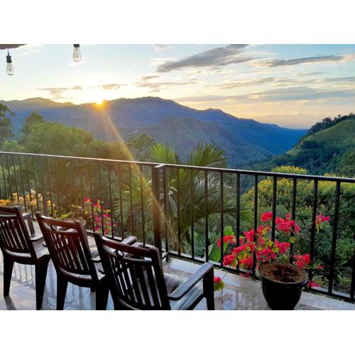 Golden View Guest Ella