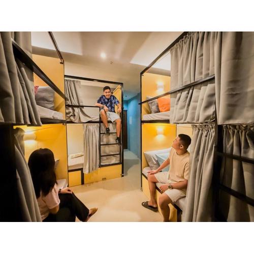 Goofy Ants Hostel