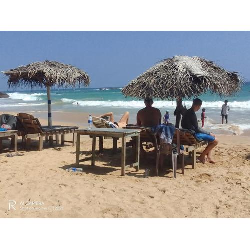 Goyambokka Peacock Guest